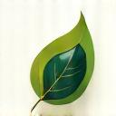 Engagement eco-responsable